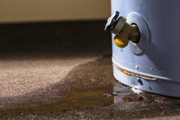 Best Water damage contractors near me  in Coaldale, PA