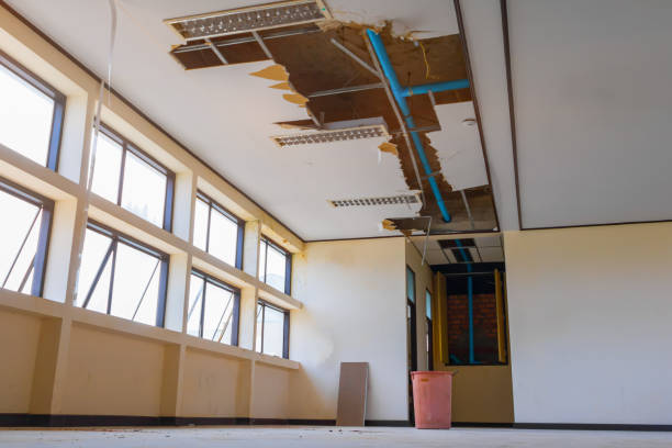 Best Water damage restoration mold remediation  in Coaldale, PA