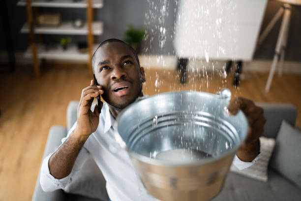 Best Mold removal after water damage  in Coaldale, PA