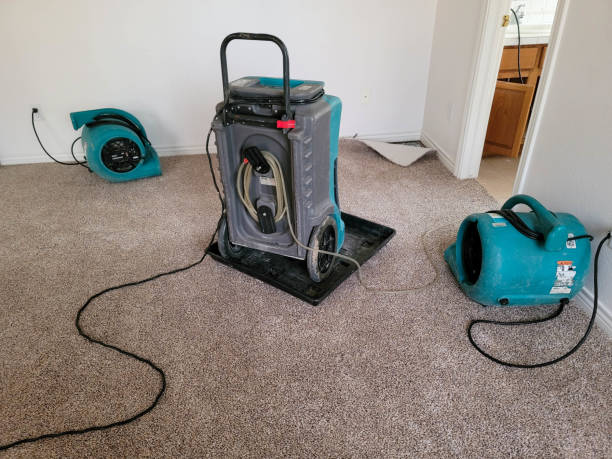 Best Fire Damage Restoration  in Coaldale, PA