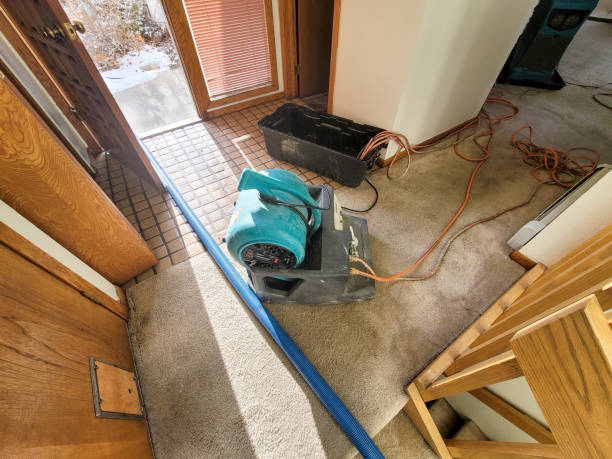 Professional Water damage restoration in Coaldale, PA