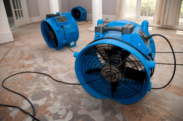  Coaldale, PA Water damage restoration Pros